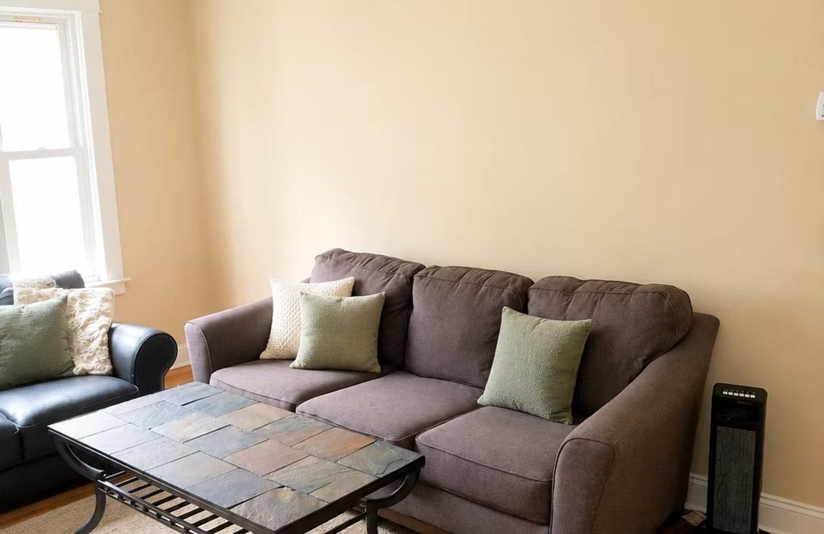 Binghamton Apartment: 9 Walnut