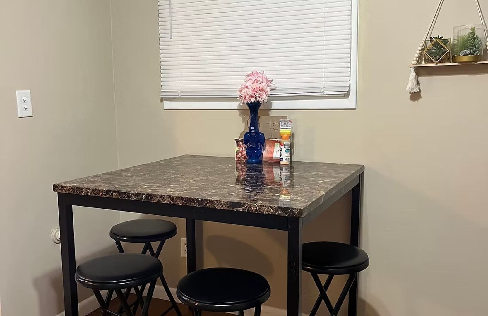Binghamton Apartment: 81 Oak