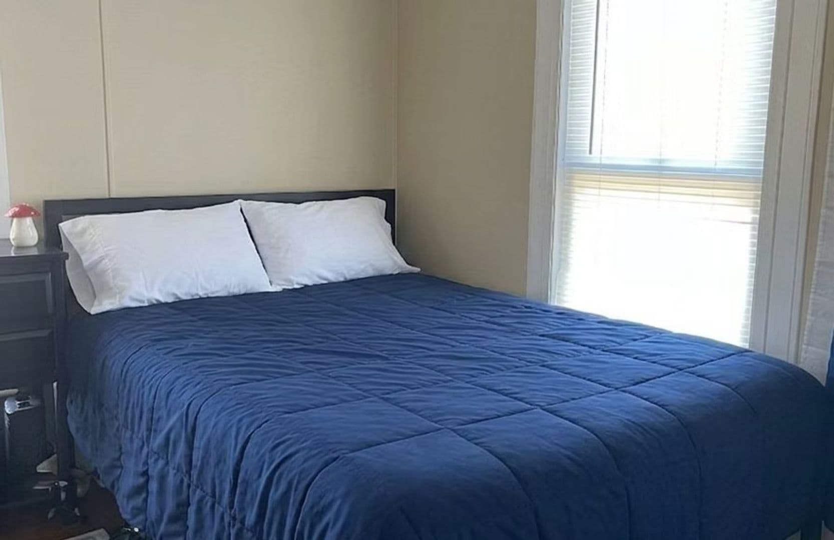 Binghamton Apartment: 81 Oak
