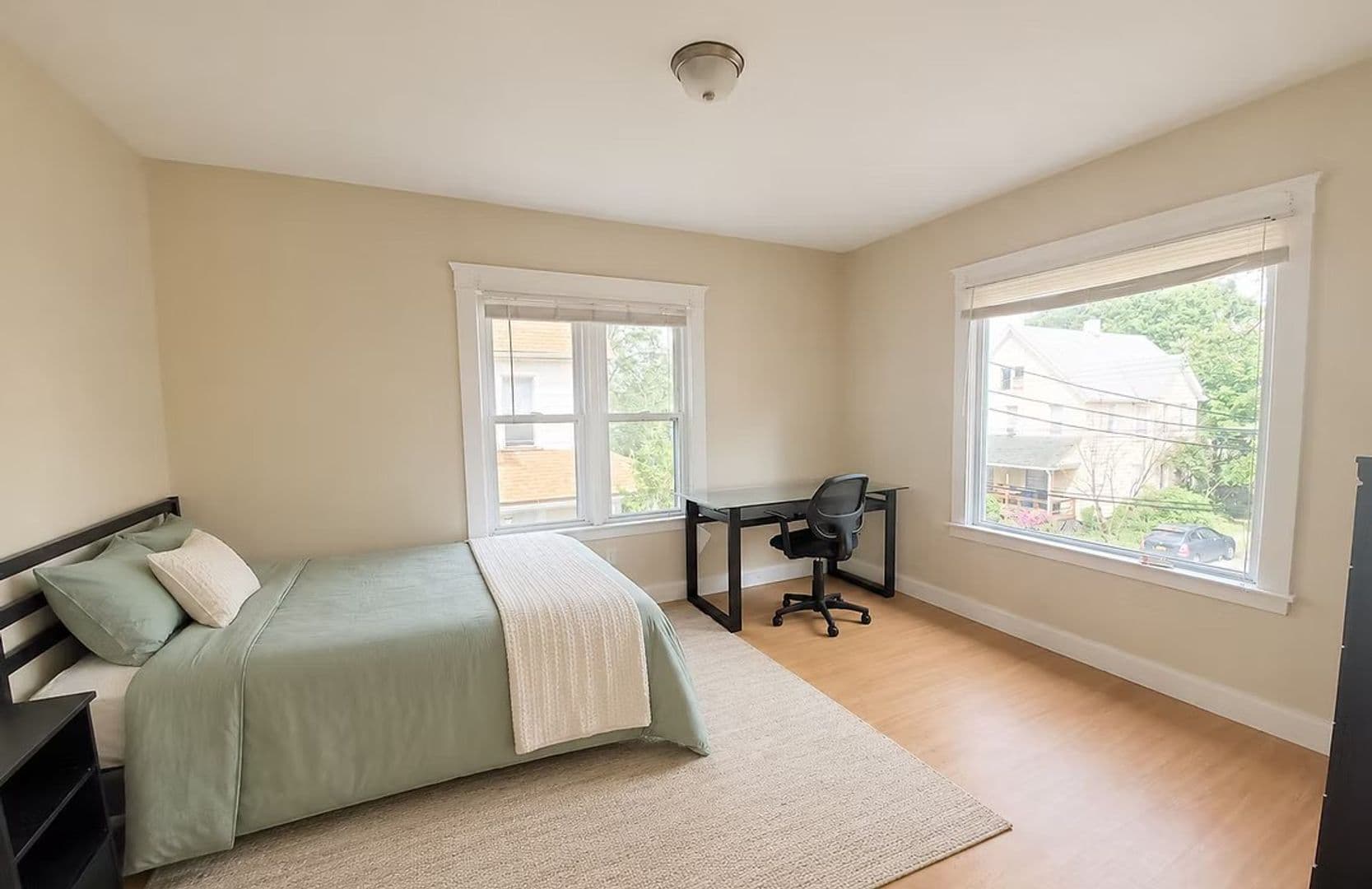 Binghamton Apartment: 9 Walnut
