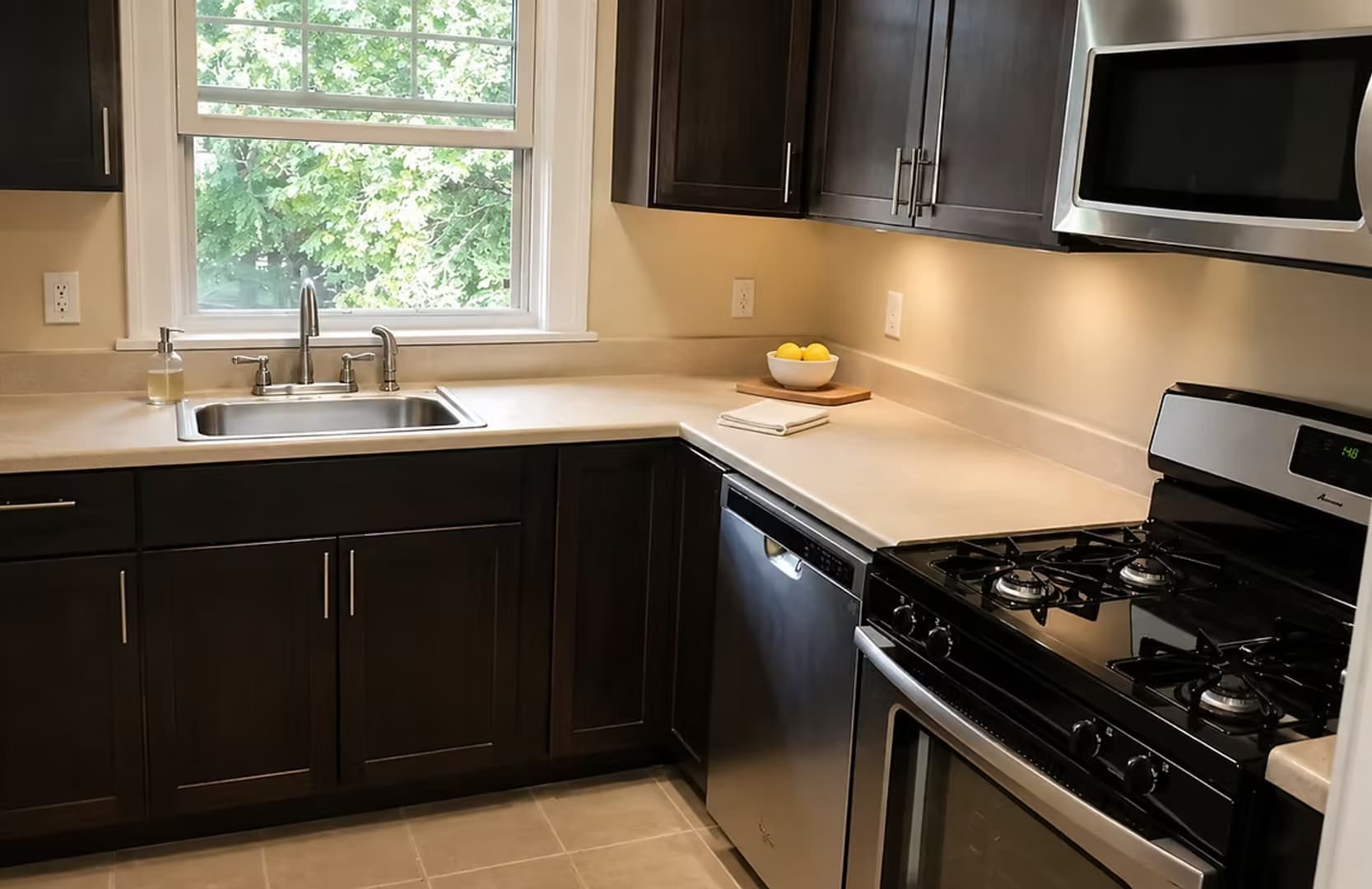 Binghamton Apartment: 6 Riverside