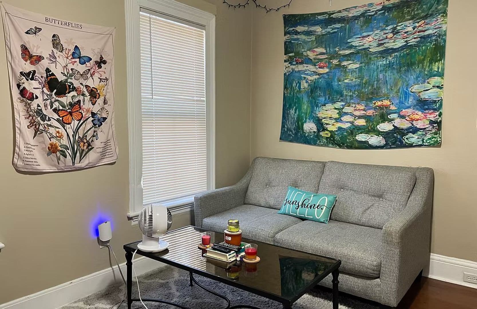 Binghamton Apartment: 81 Oak