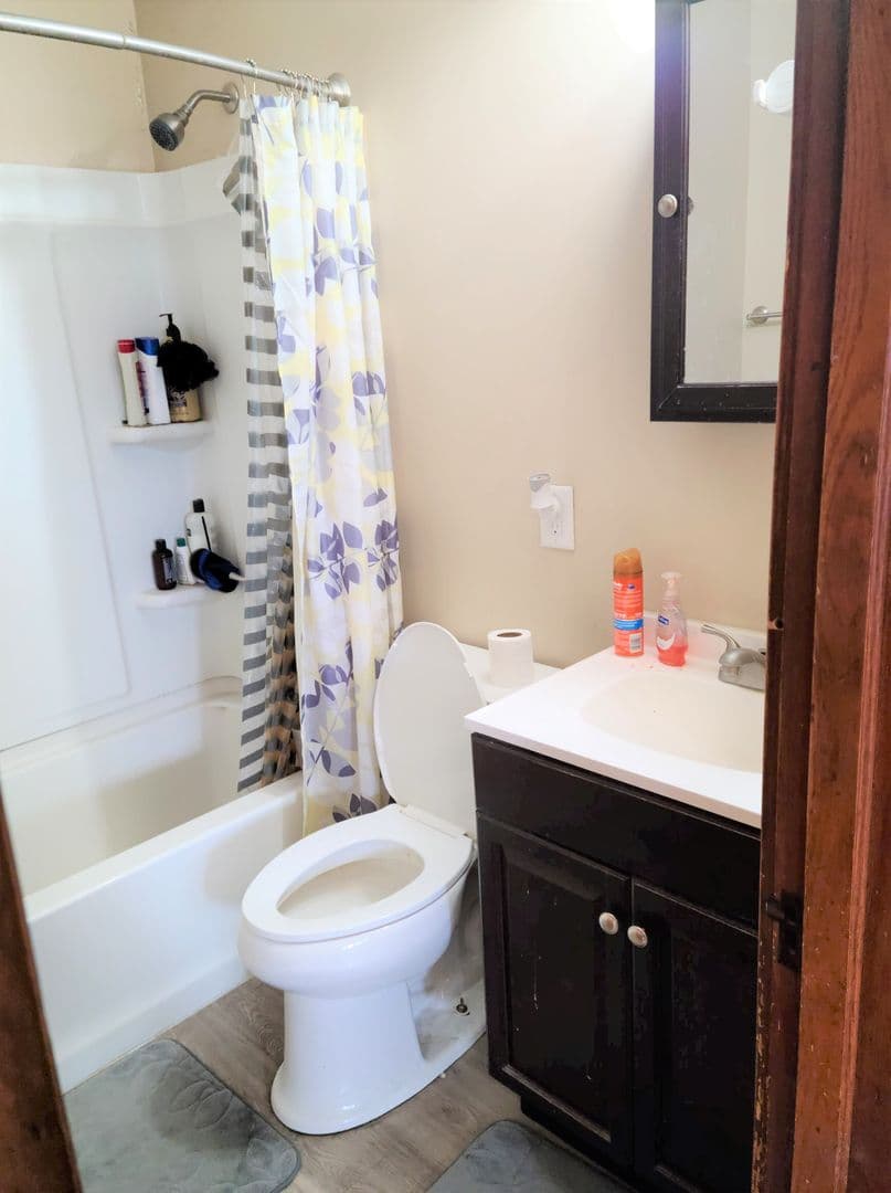 Binghamton Apartment: 222 Main