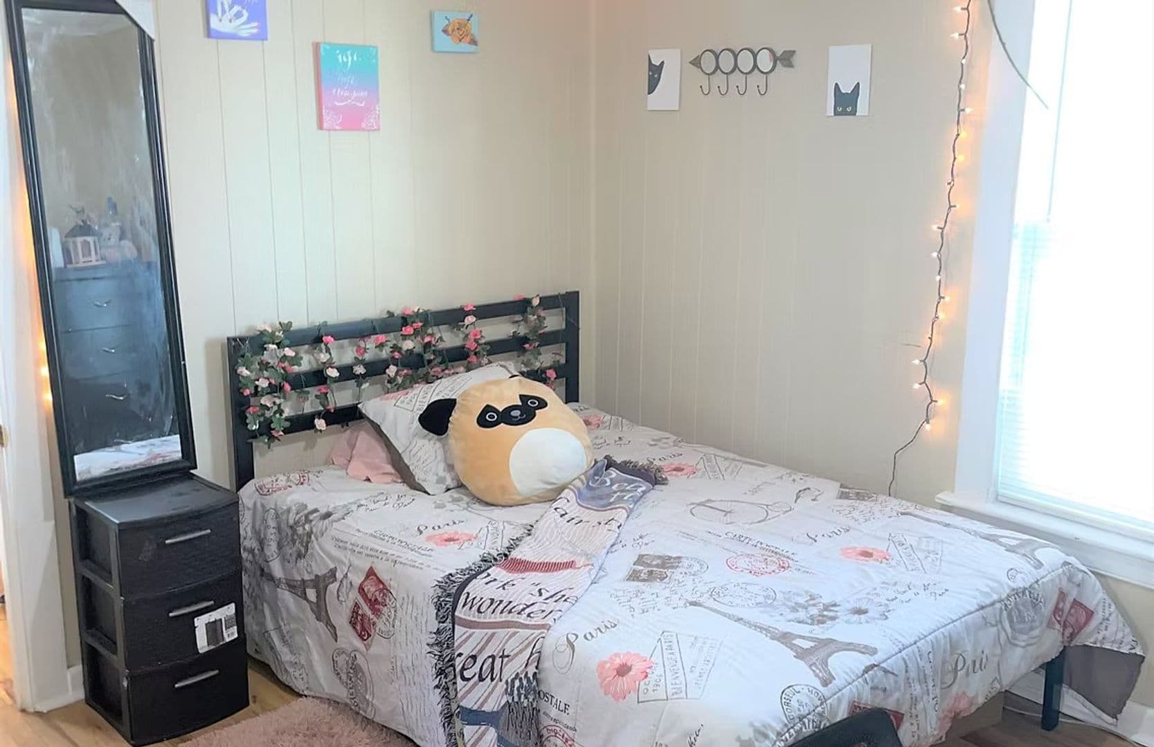 Binghamton Apartment: 77 Murray