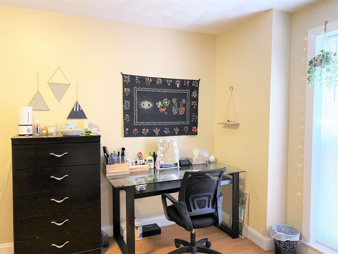 Binghamton Apartment: 27 Main Street