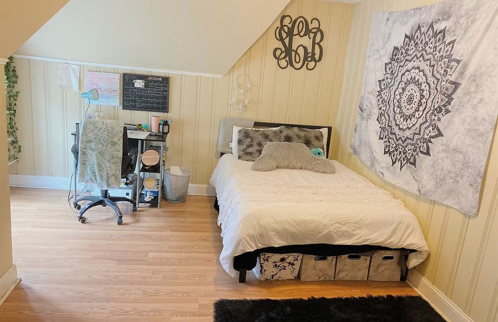 Binghamton Apartment: 79 Chapin