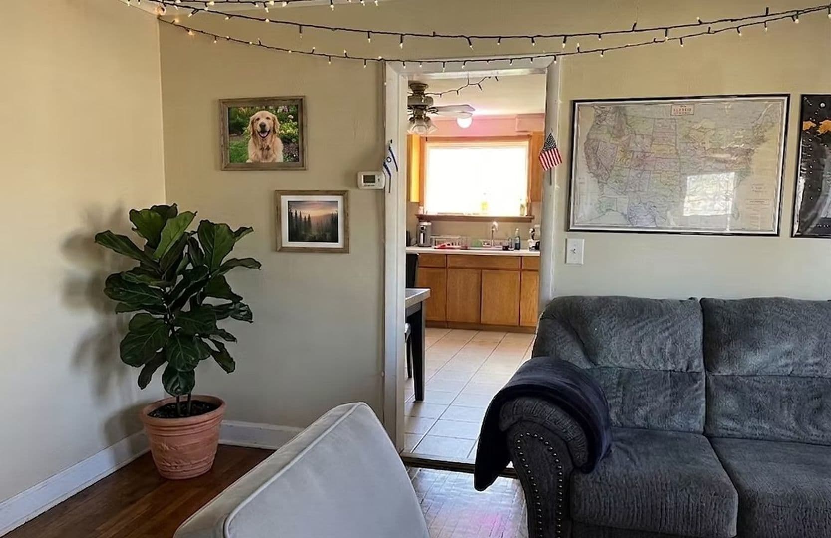 Binghamton Apartment: 81 Oak