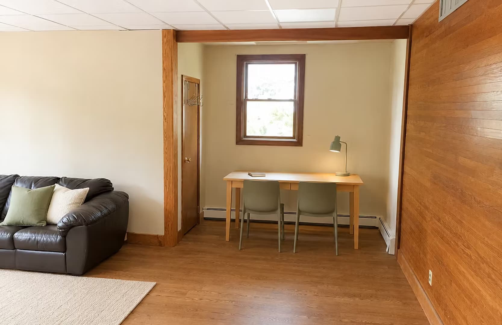 Binghamton Apartment: 12 Riverside