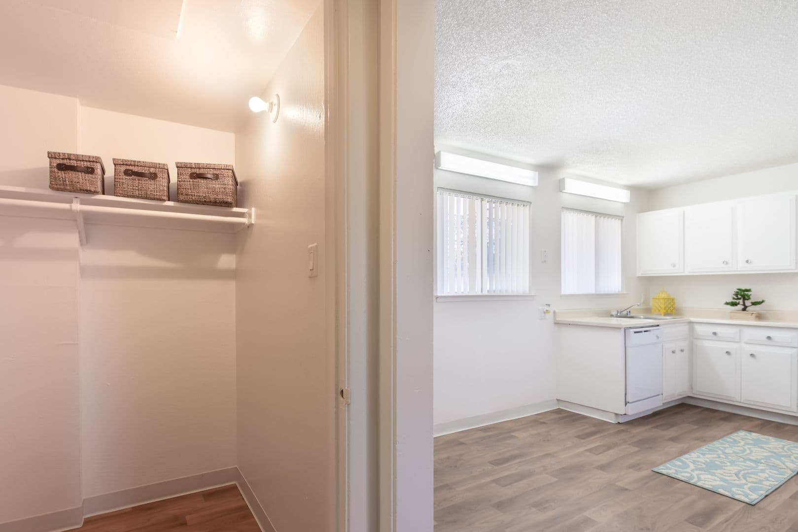 Rosemont Apartment: 3650 Tallyho Drive