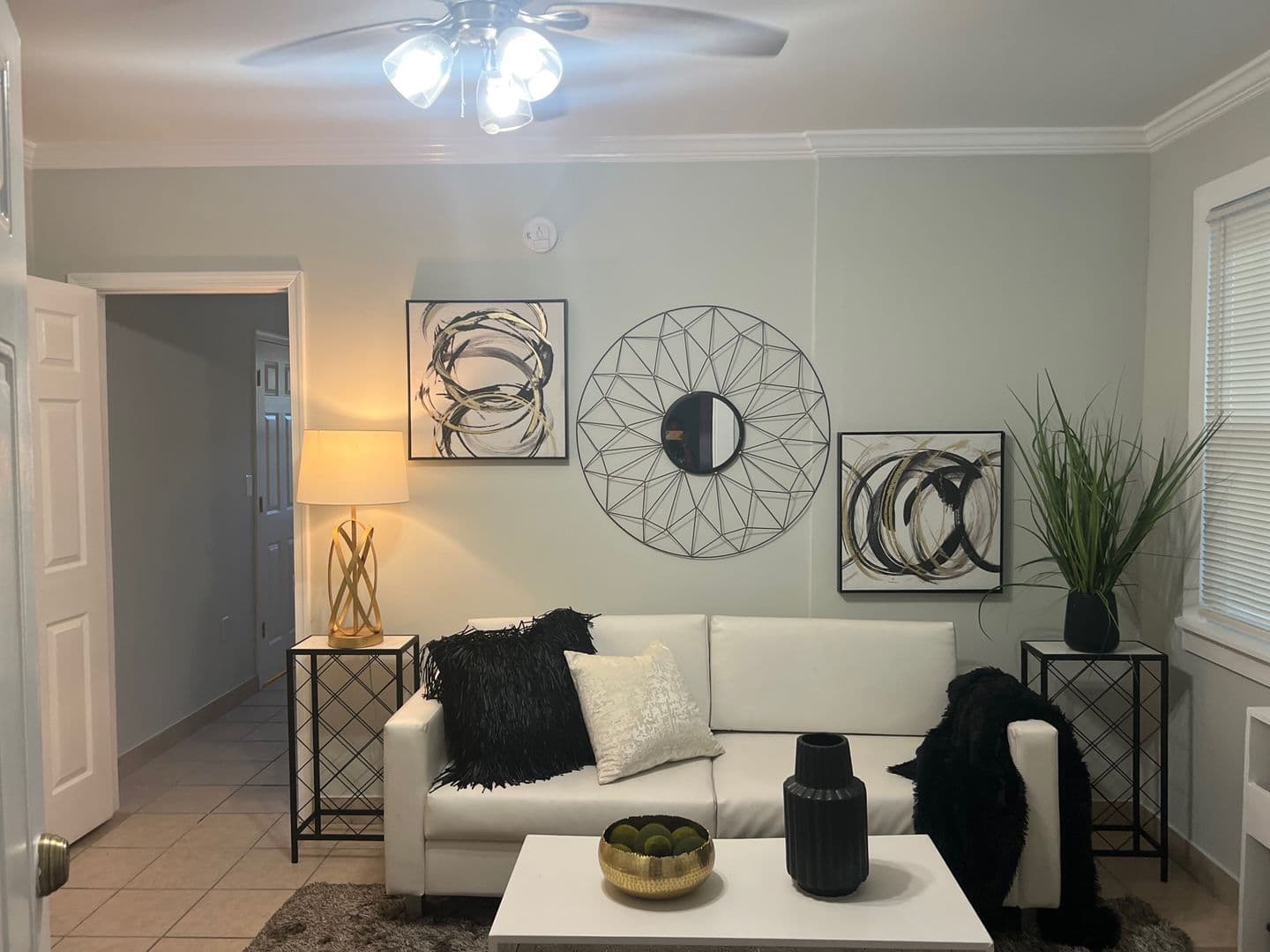 Washington Apartment: 1215 Randolph Street NW