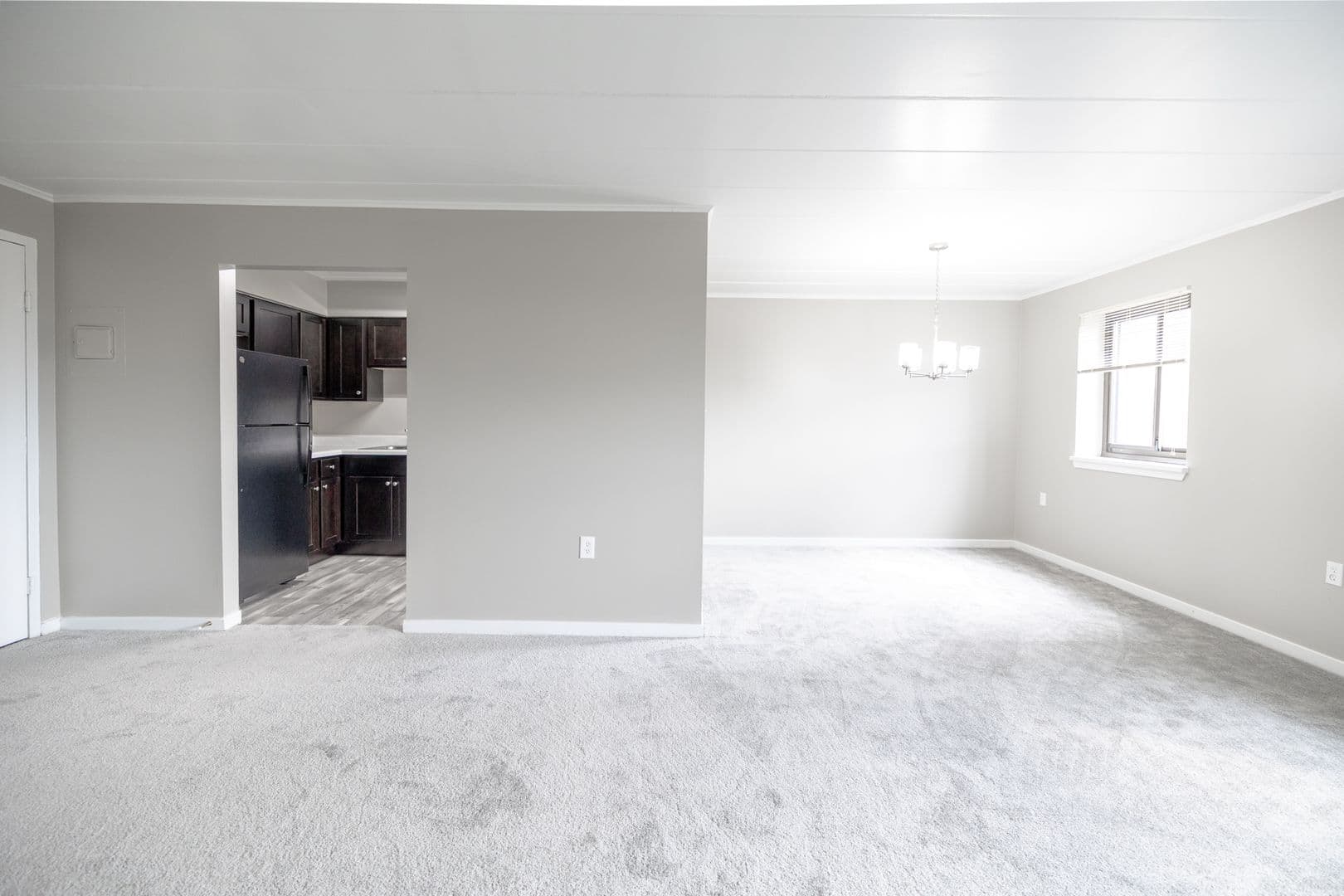 Pittsburgh Apartment: 460 Washington Road