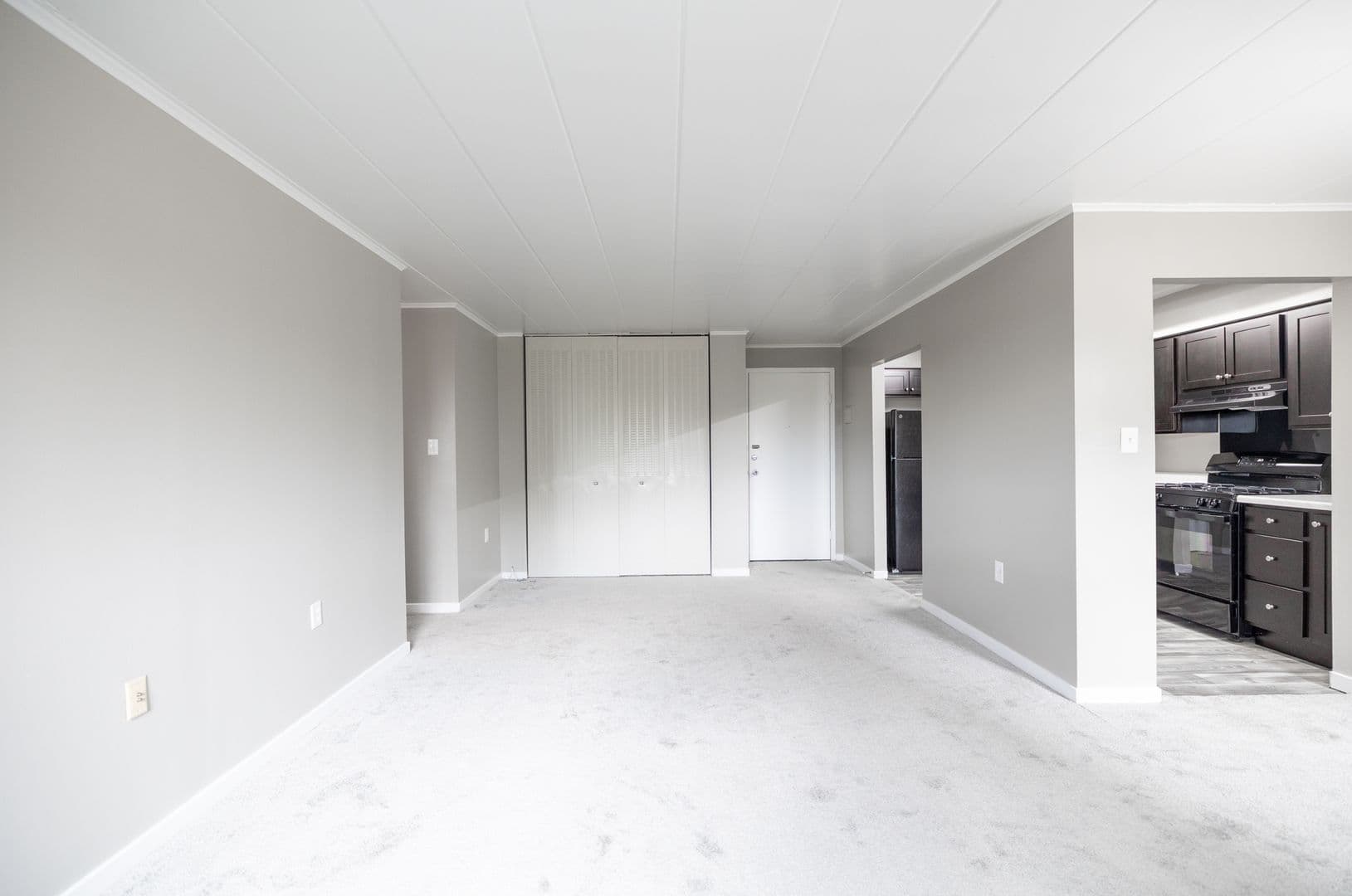 Pittsburgh Apartment: 460 Washington Road