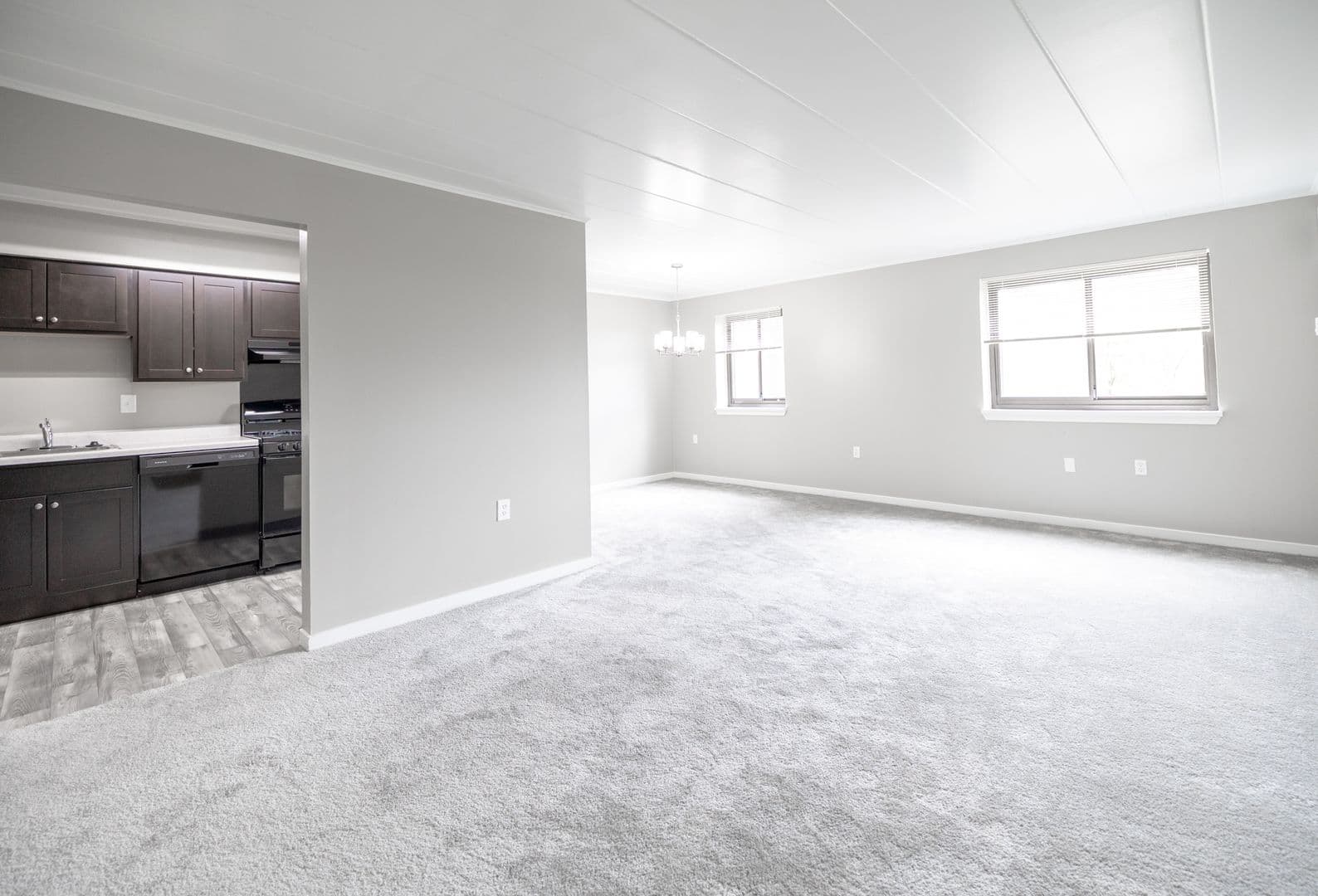 Pittsburgh Apartment: 460 Washington Road