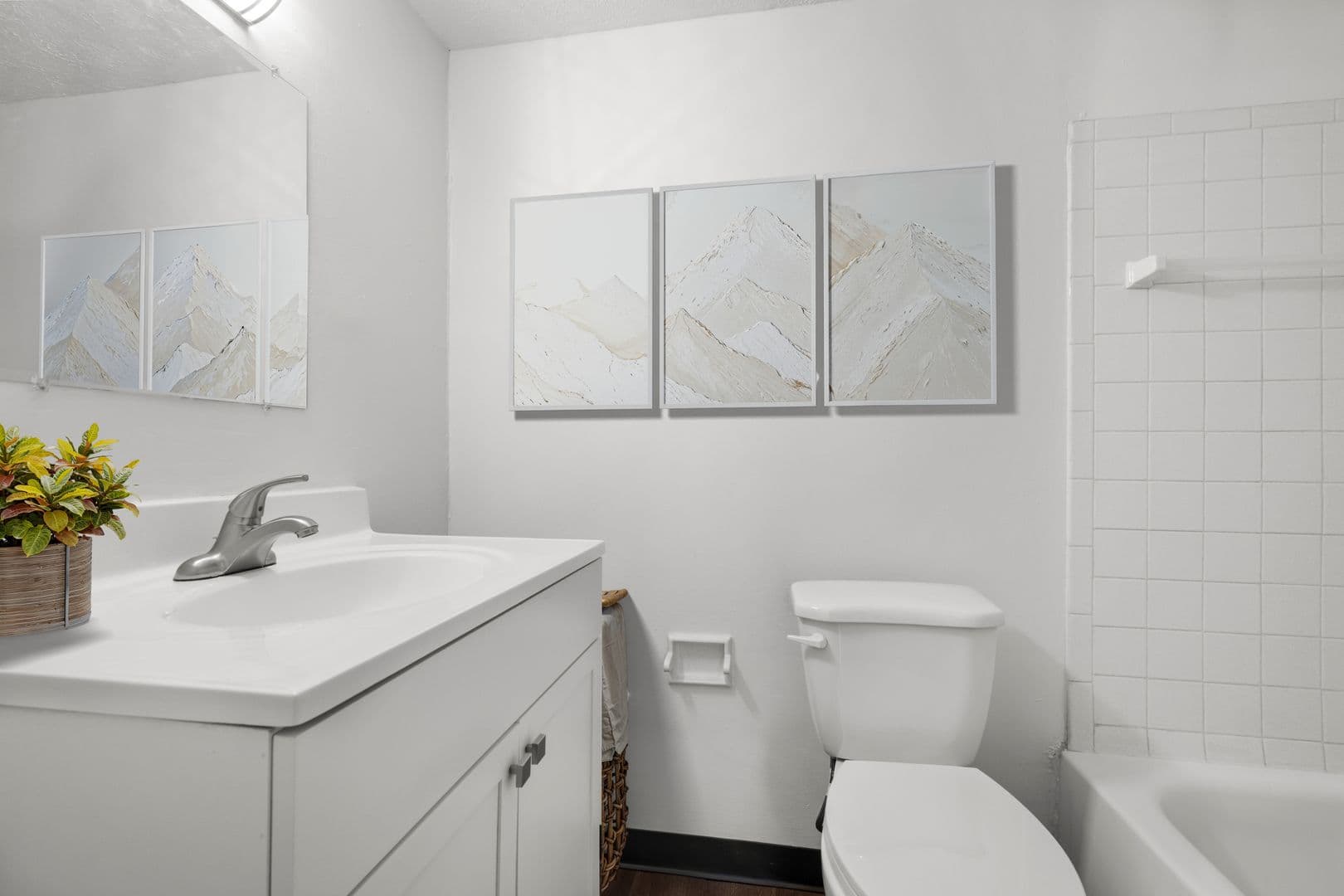 Pittsburgh Apartment: 233-241 Edgewood Ave