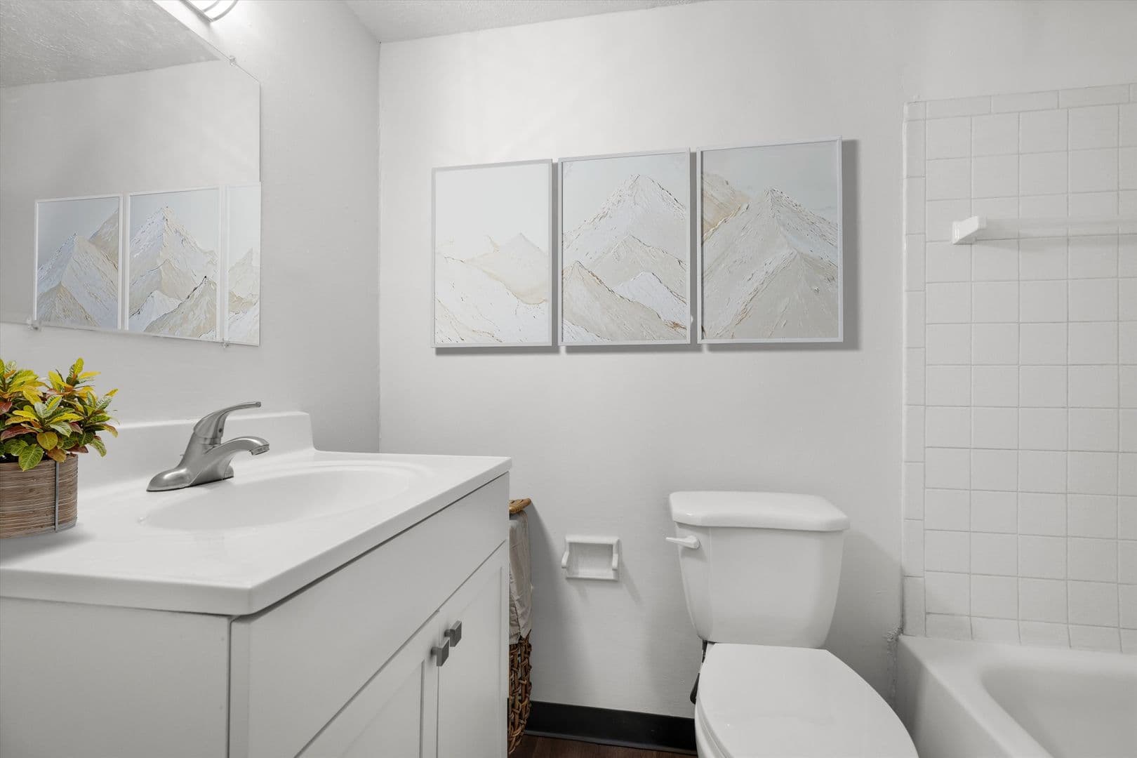 Pittsburgh Apartment: 233-241 Edgewood Ave