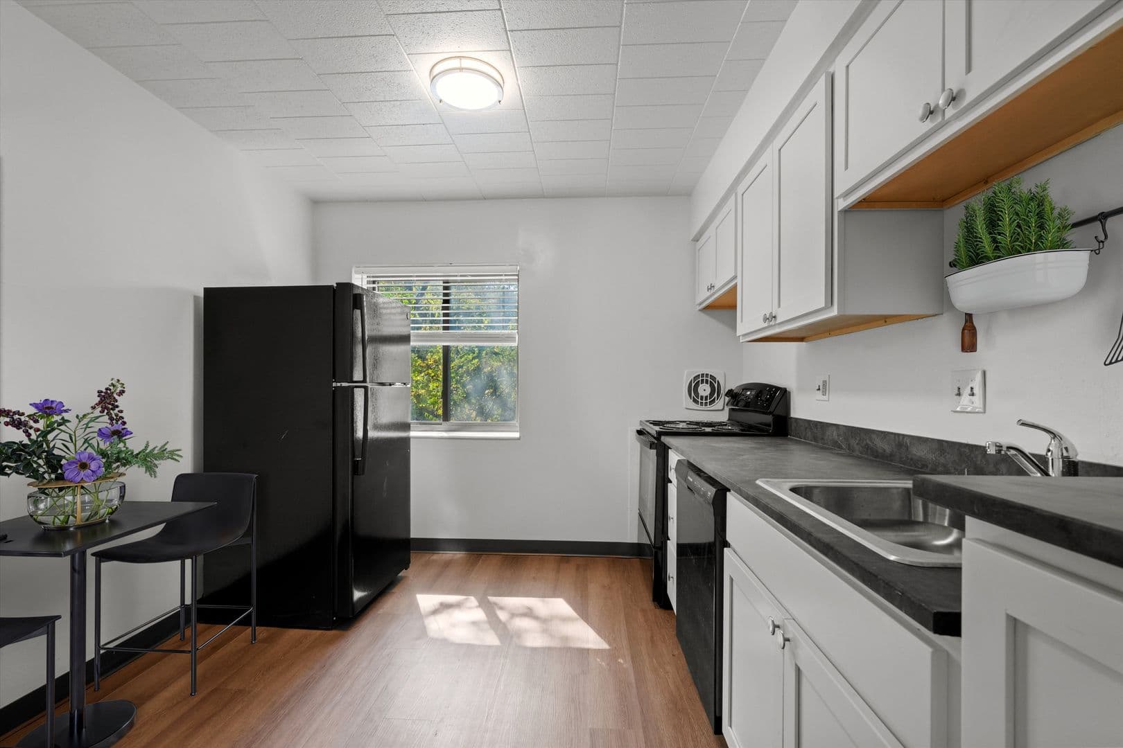 Pittsburgh Apartment: 233-241 Edgewood Ave