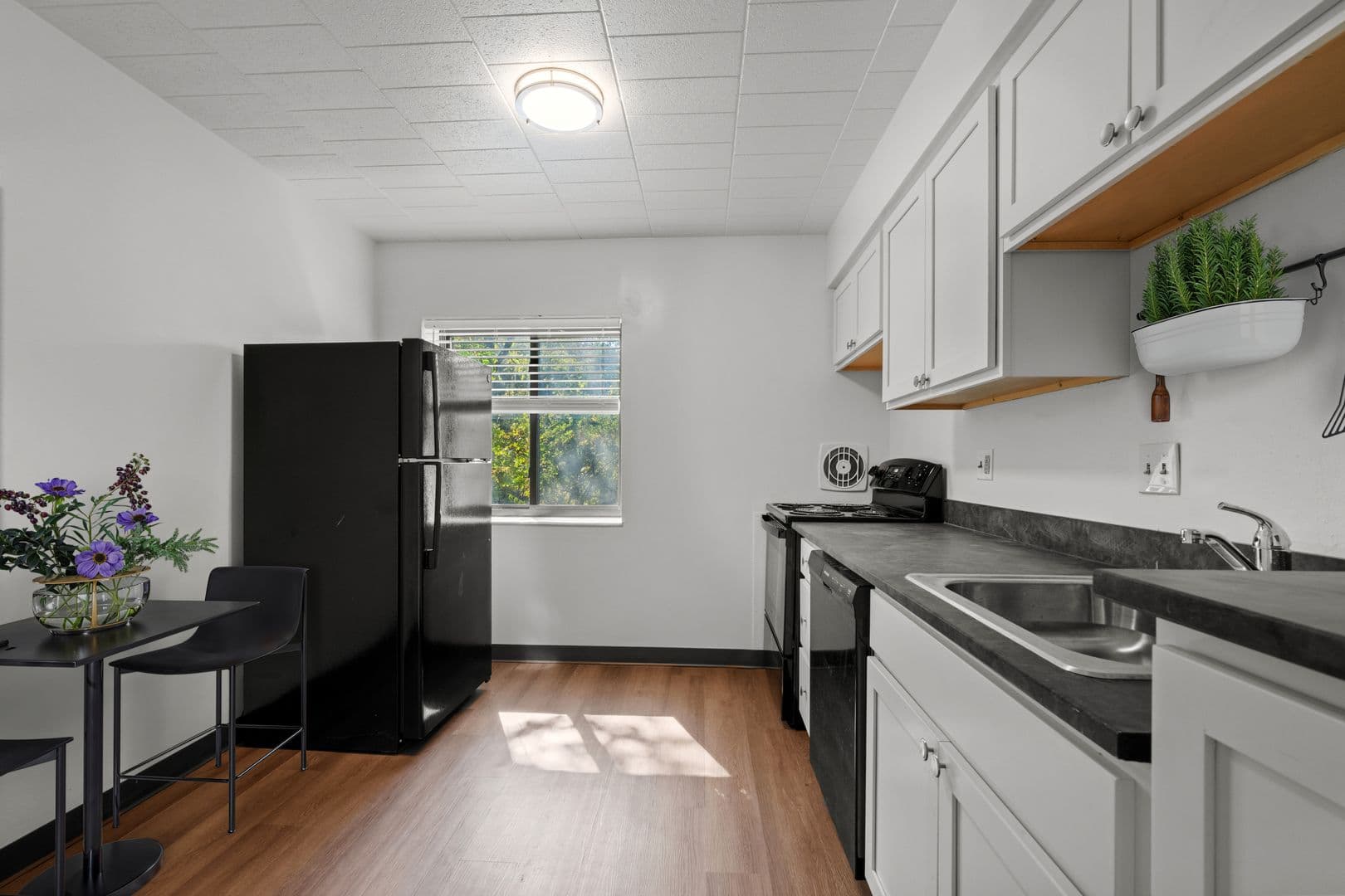 Pittsburgh Apartment: 233-241 Edgewood Ave