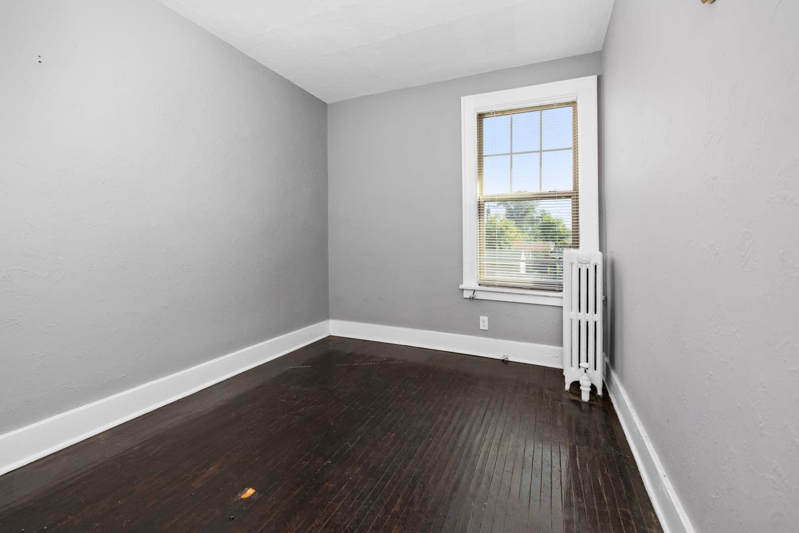Buffalo Apartment: 575 Colvin Avenue