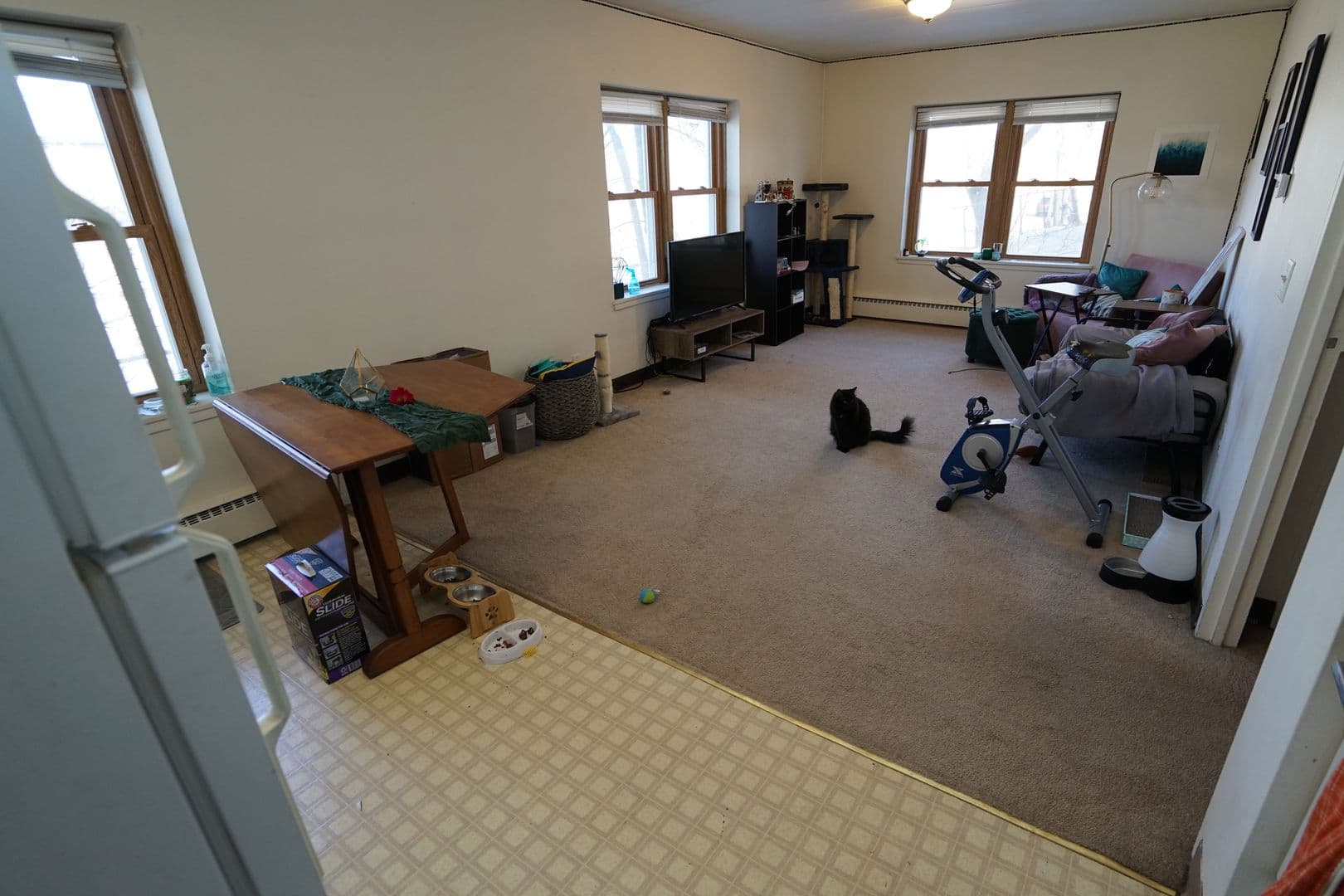 Madison Apartment: 425 Paunack Place