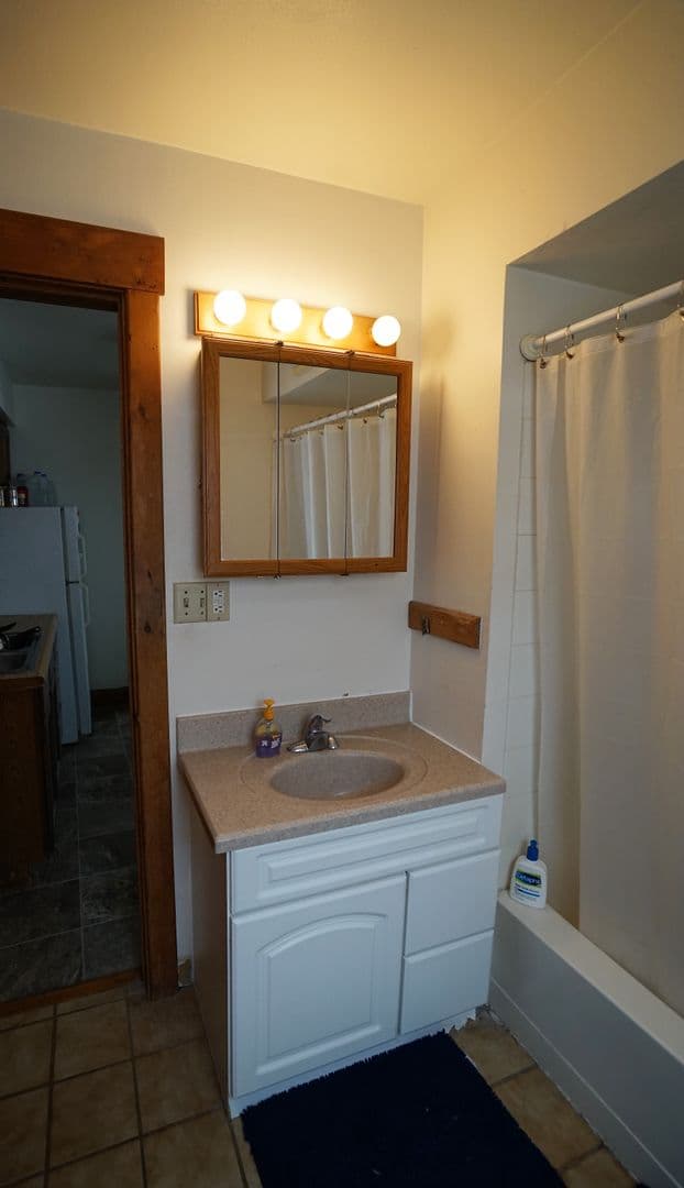 Madison Apartment: 348 W. Wilson St.