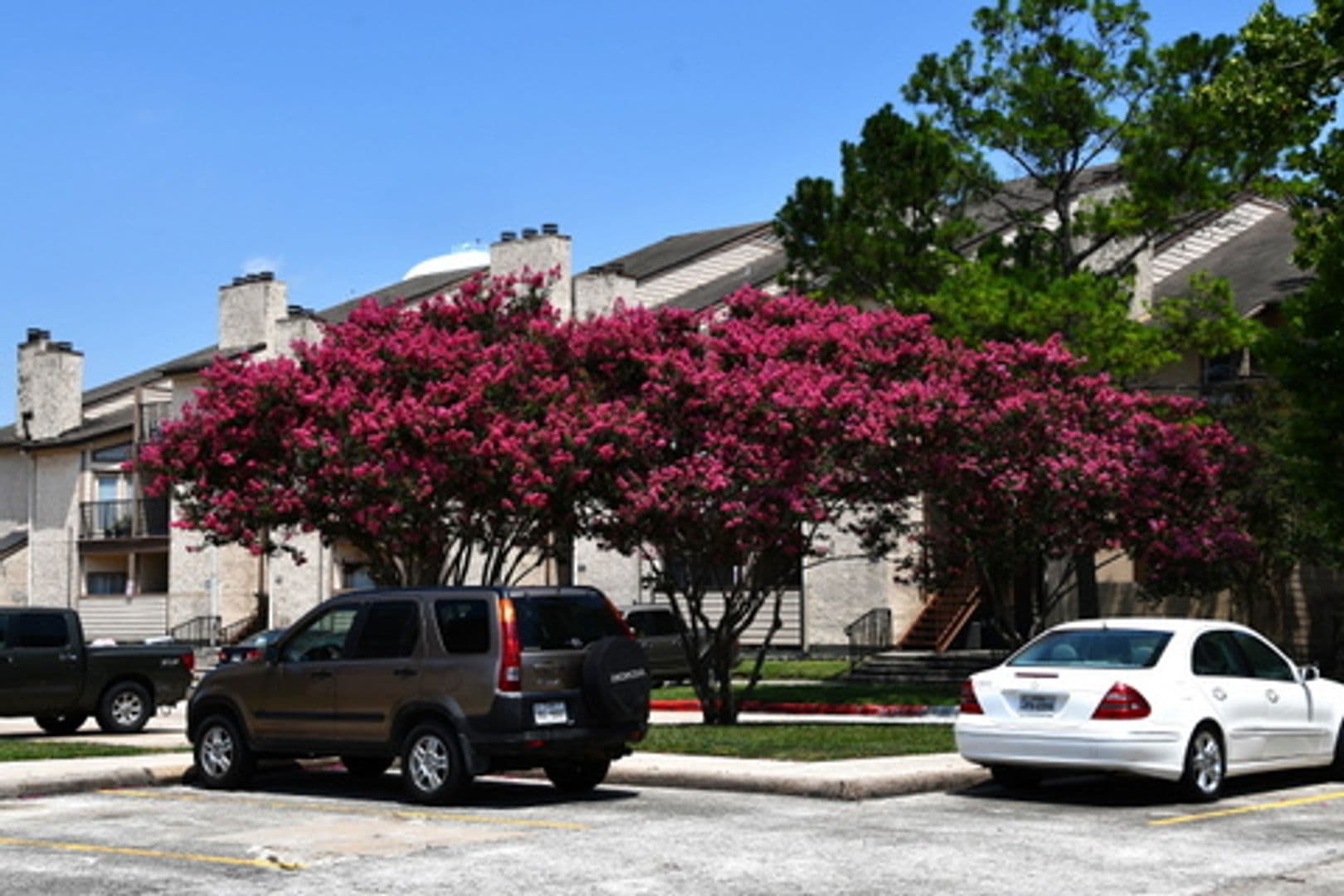 Houston Condo: 206 Plaza Verde Dr
