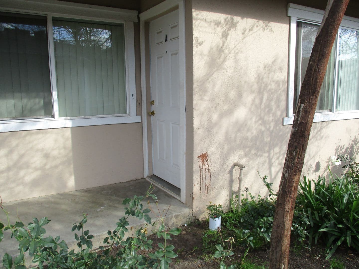 Fresno Apartment: 216 W. Dakota Ave. #D