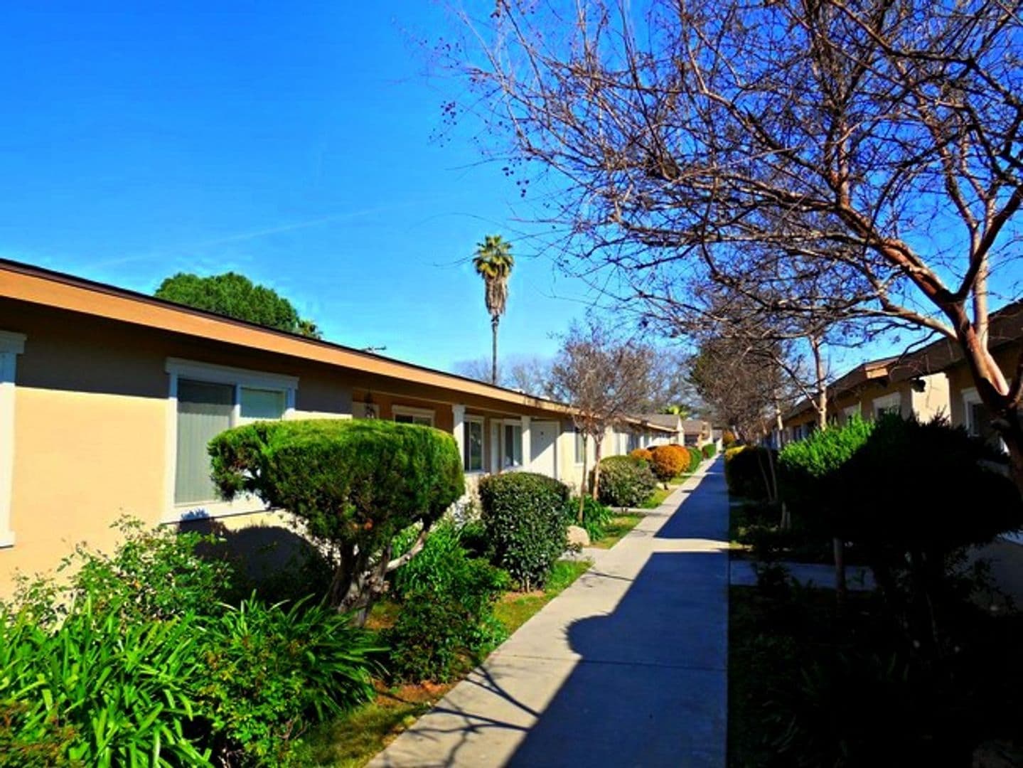 Fresno Apartment: 216 W. Dakota Ave. #D
