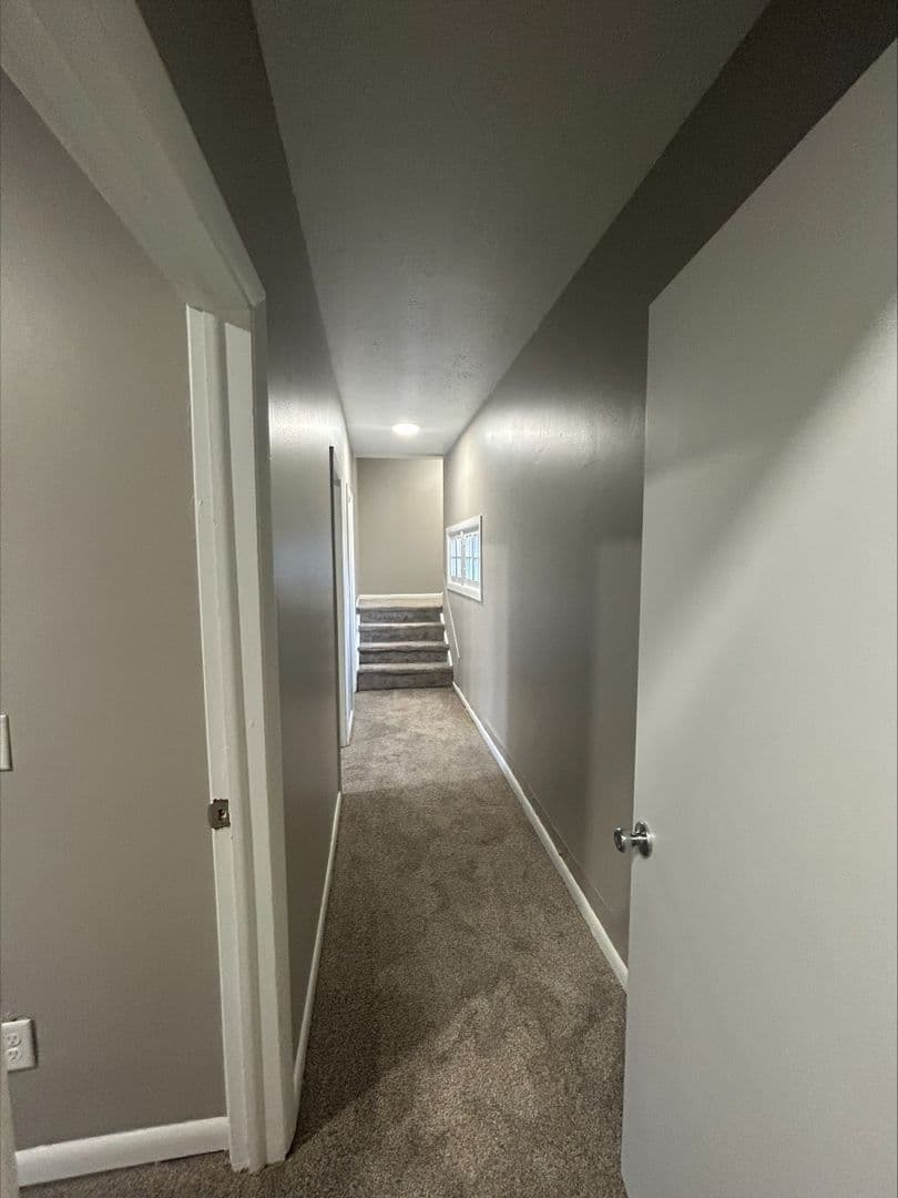 Lafayette Apartment: 52 Owen Street