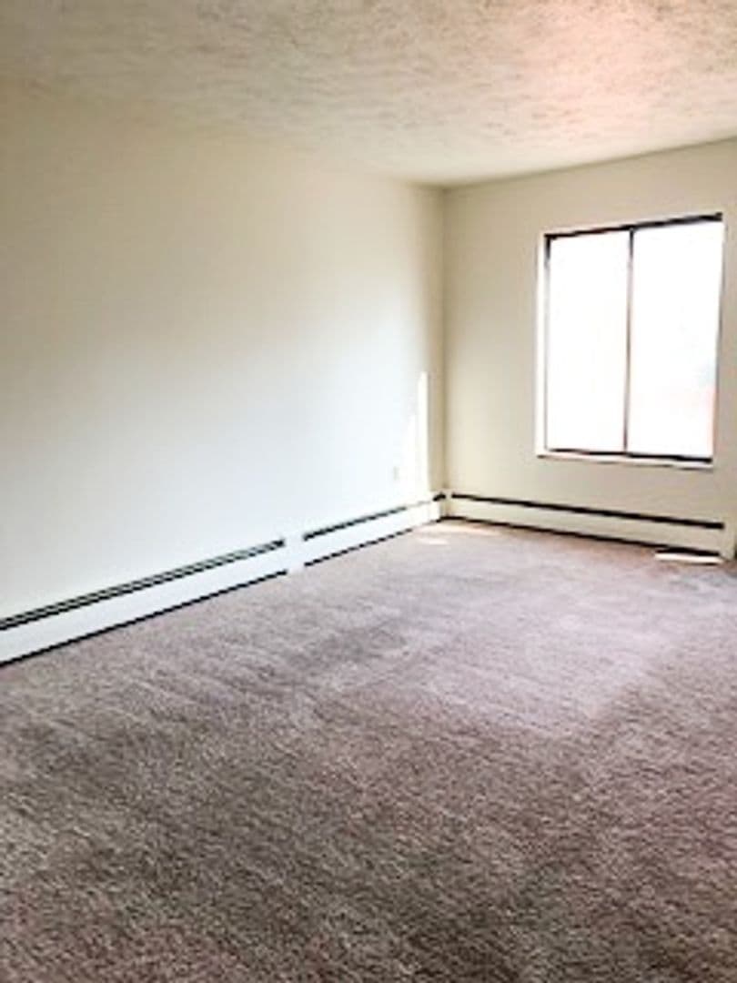 Brook Apartment: 204 S Hess St