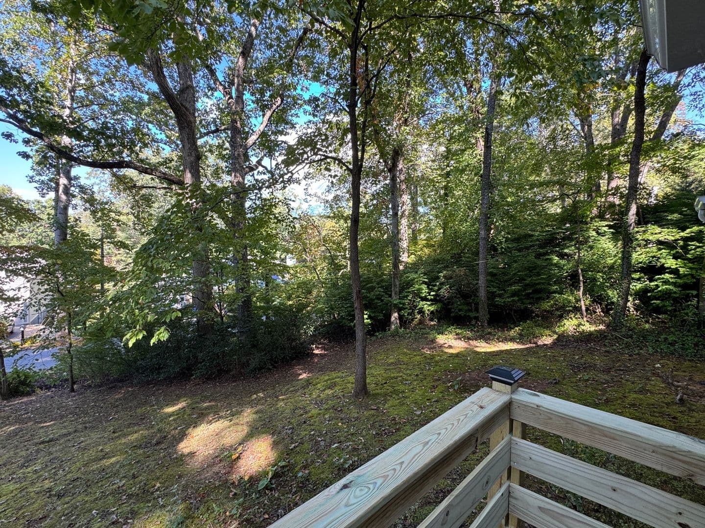 Black Mountain House: 702 Holly Ave