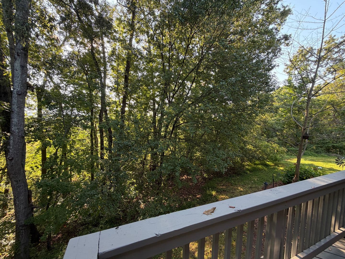 Mills River Townhome: 165 Farm Lane