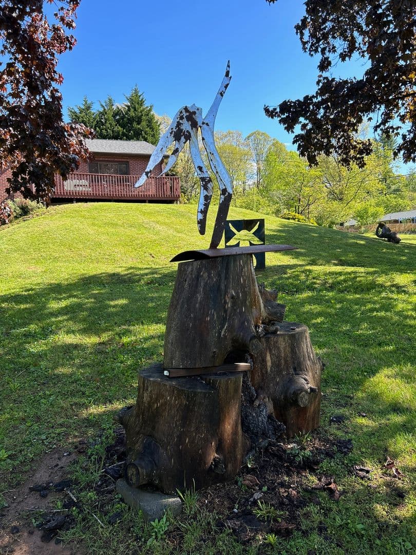 Black Mountain House: 205 Padgettown Road