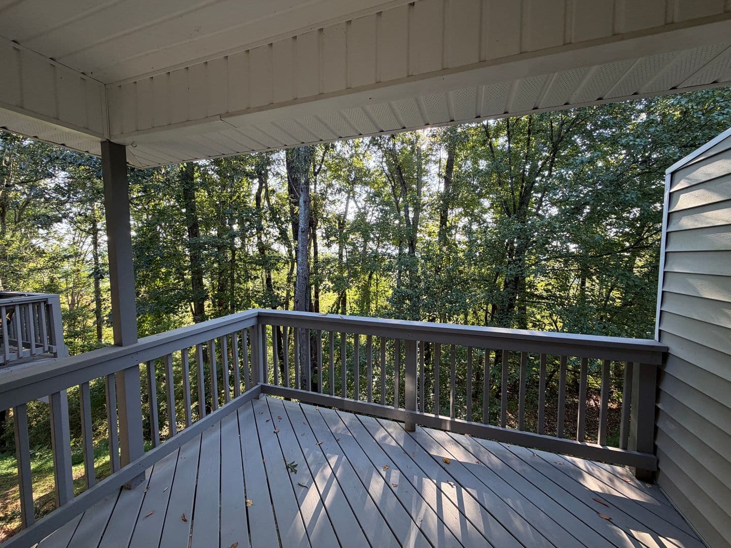 Mills River Townhome: 165 Farm Lane