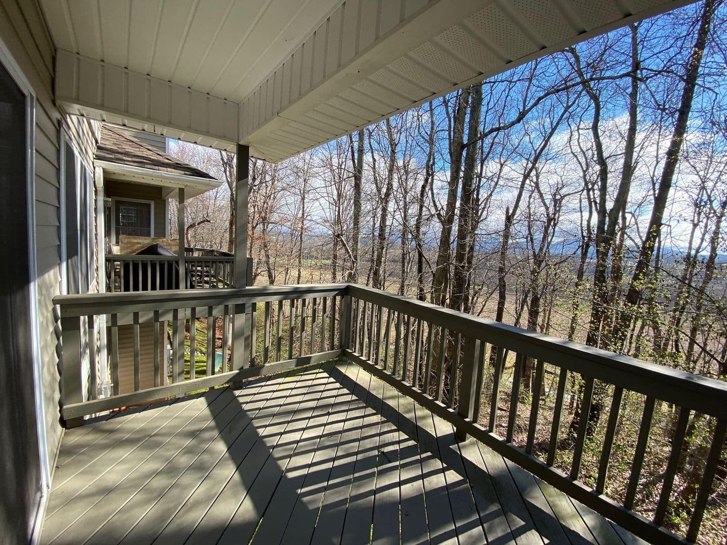 Mills River Townhome: 165 Farm Lane