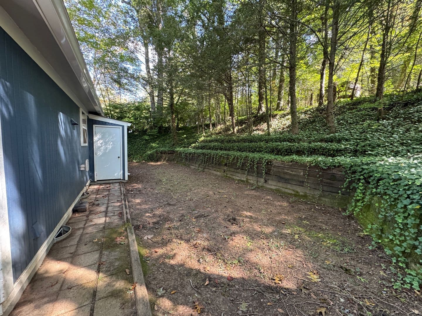 Black Mountain House: 702 Holly Ave