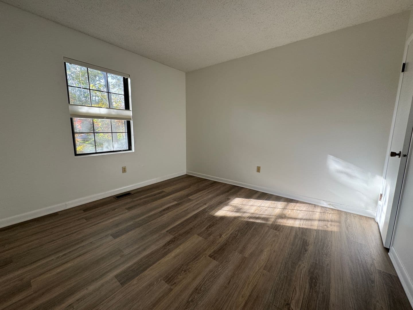 Black Mountain House: 702 Holly Ave
