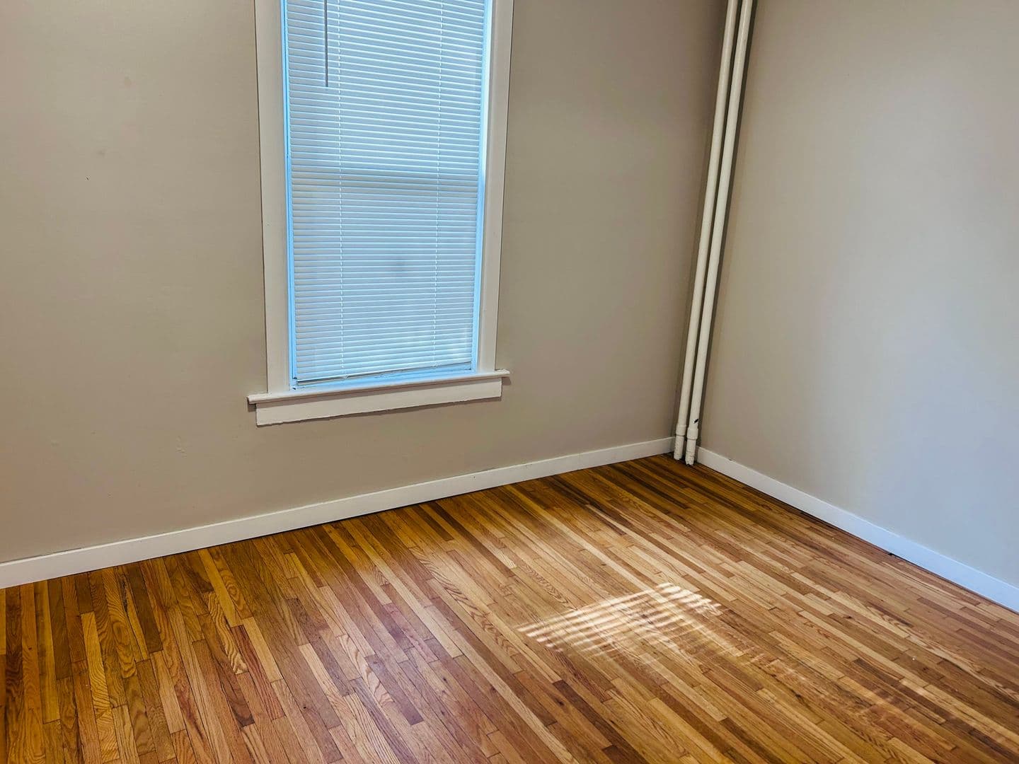 Saint Paul Apartment: 567  Livingston Ave