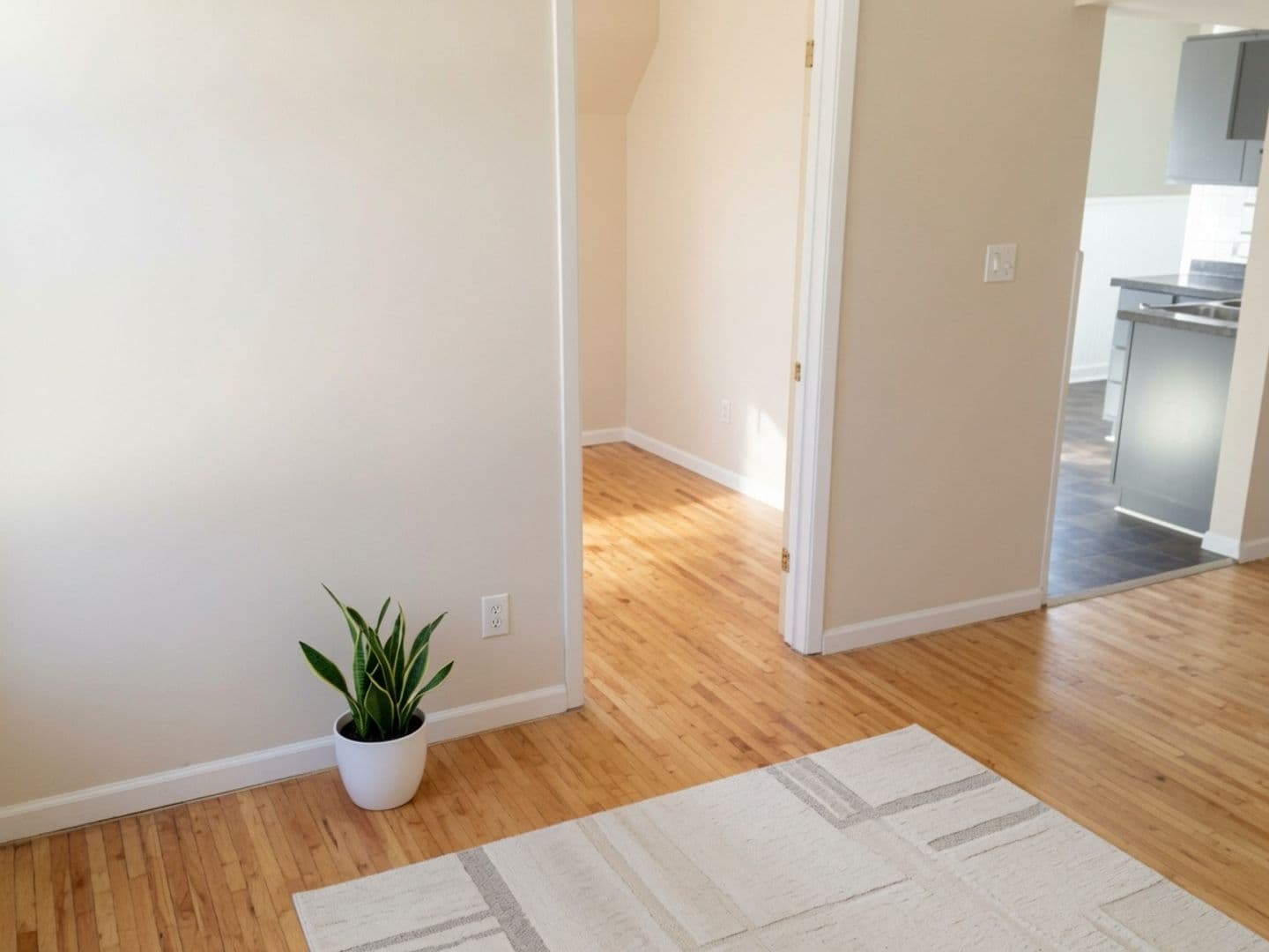 Saint Paul Apartment: 321 Bates Ave