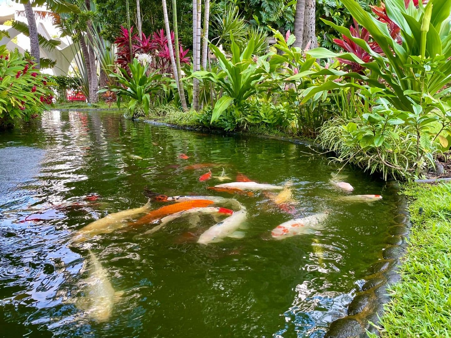 Honolulu Condo: 300 Wai Nani #1418