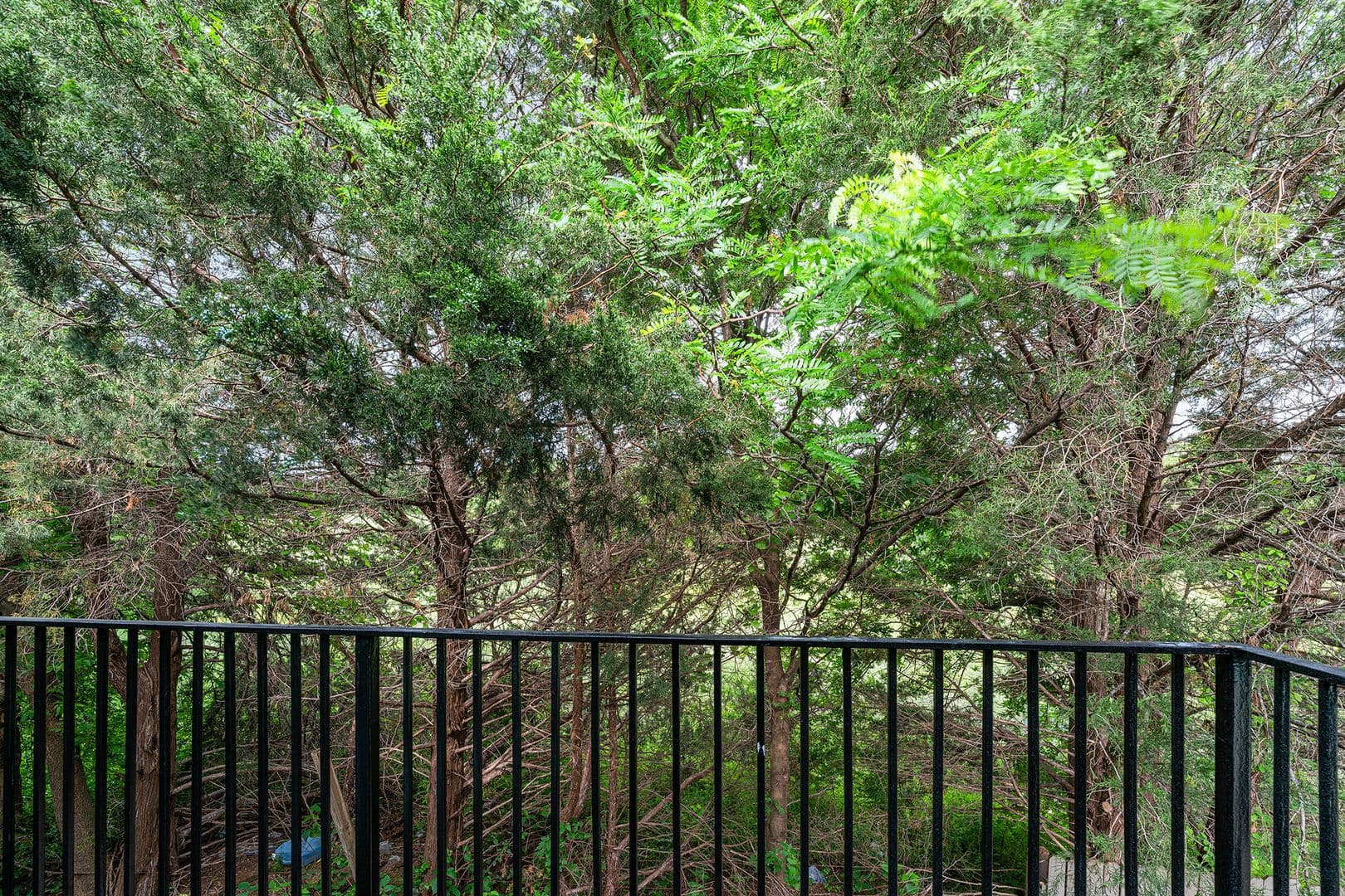 Cedar Hill Apartment: 151 East Little Creek Road