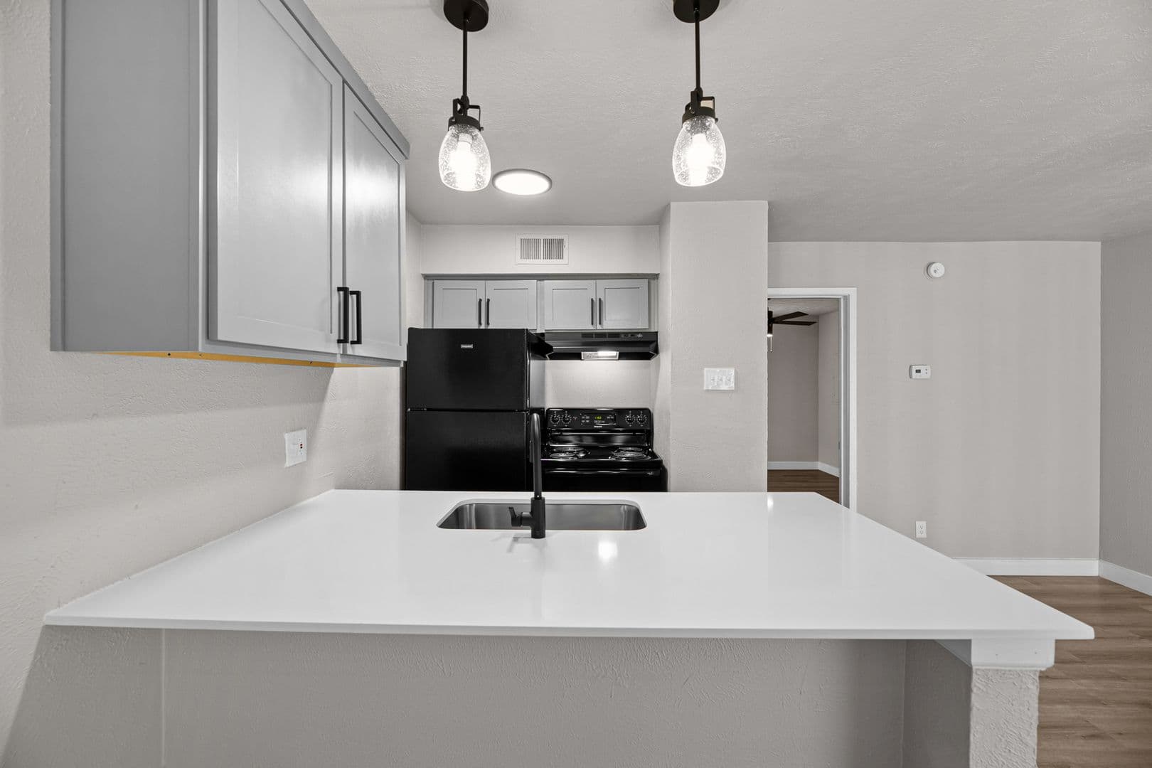 Dallas Apartment: 13266 Emily Rd