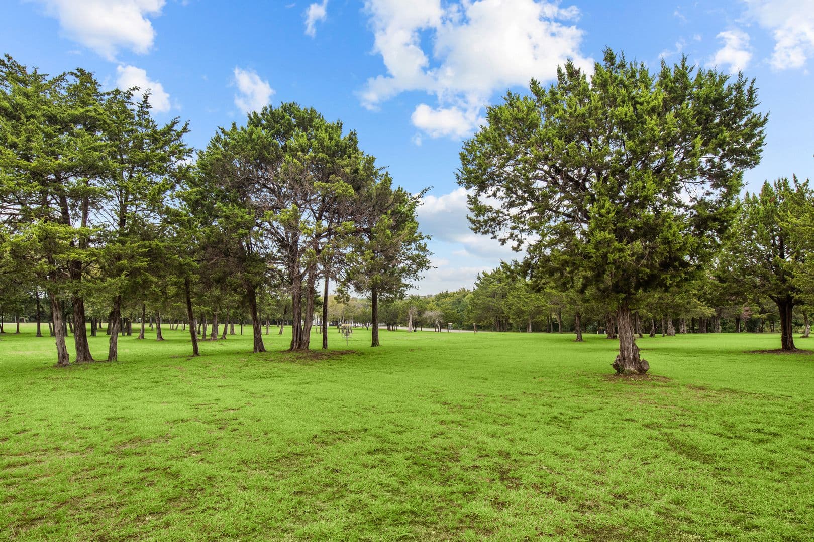 Cedar Hill Apartment: 151 East Little Creek Road