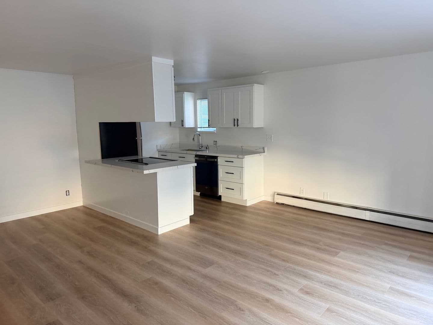 Seattle Apartment: 711 2nd Ave N