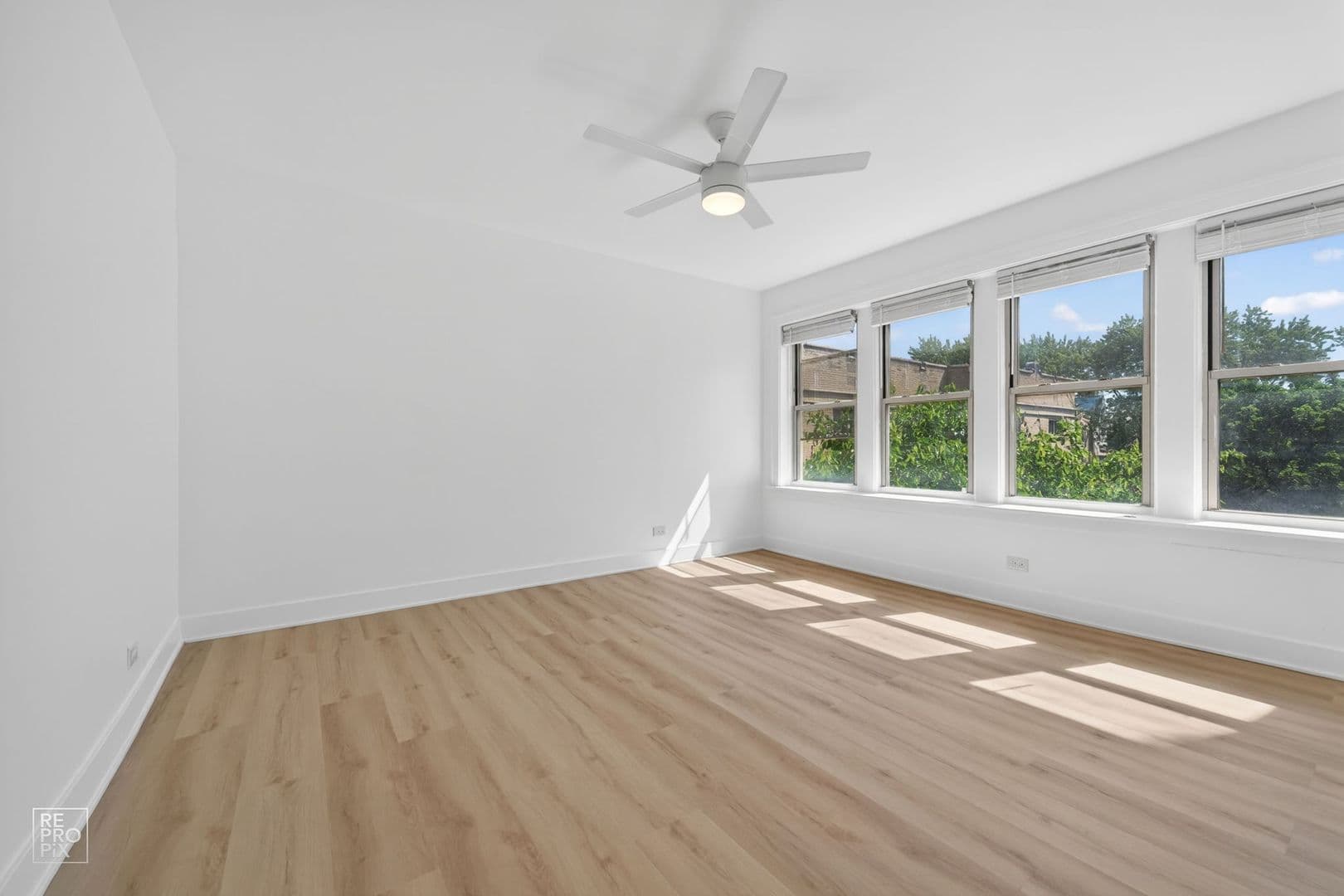 Chicago Apartment: 6310 N Artesian