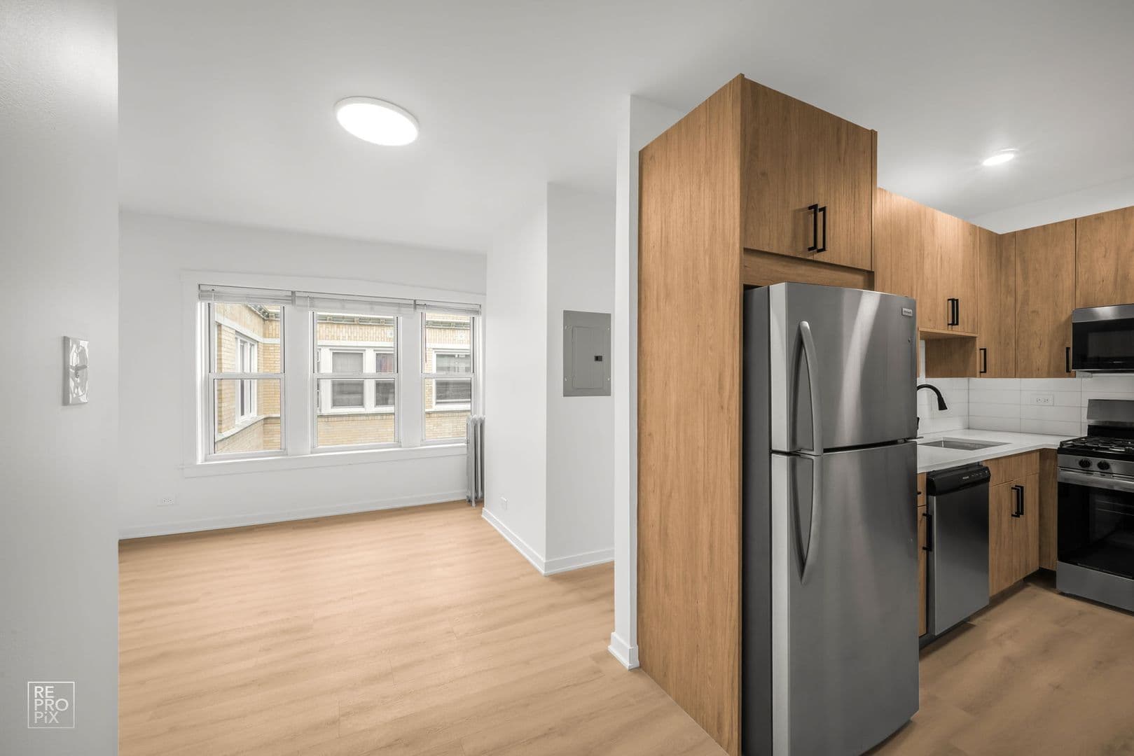 Chicago Apartment: 1436 W Thorndale Ave