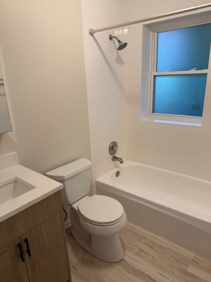 Chicago Apartment: 1305 W Morse Ave