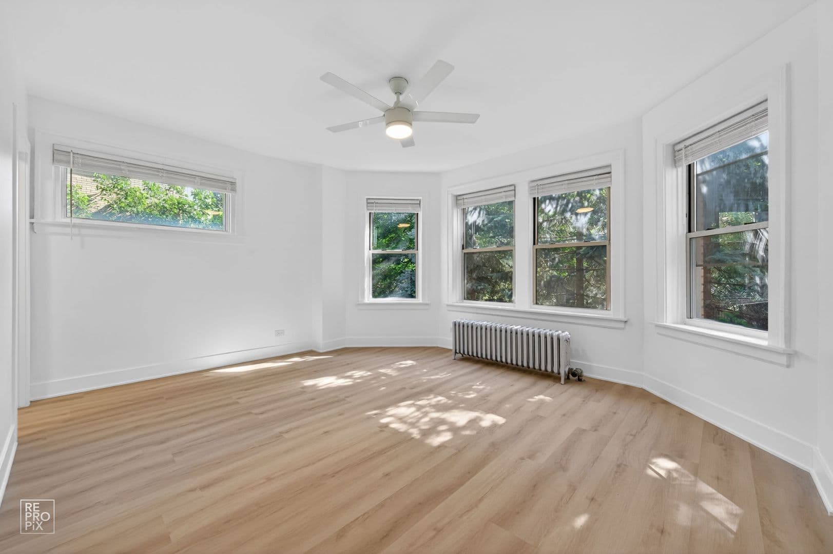 Chicago Apartment: 6310 N Artesian