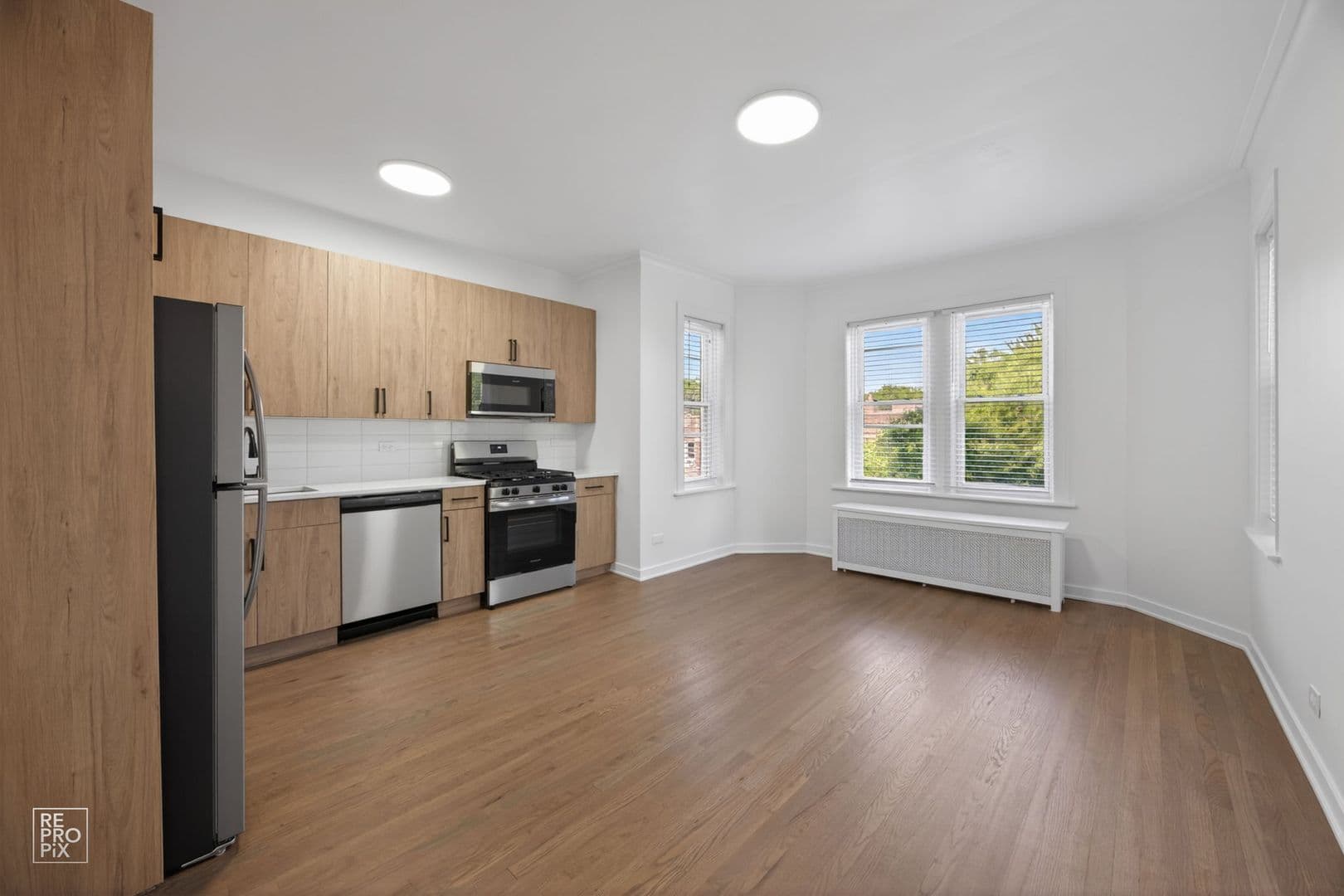 Chicago Apartment: 2154 W Arthur Ave