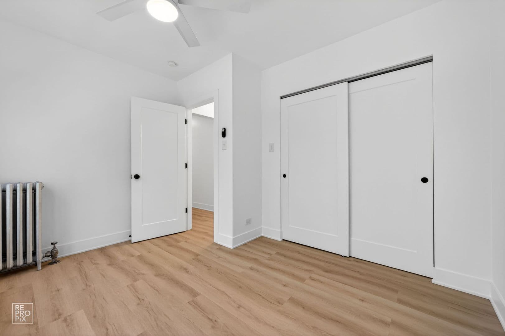 Chicago Apartment: 6310 N Artesian