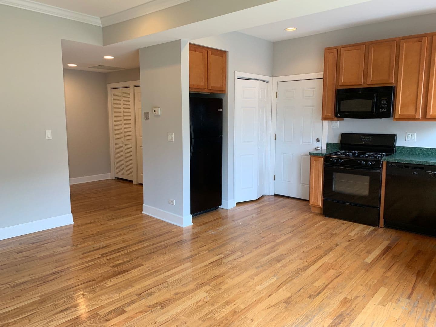 Chicago Apartment: 6154 N Oakley Ave
